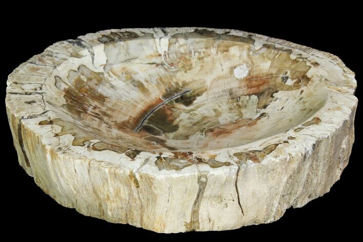 Beautiful Polished Petrified Wood Dish - Madagascar #142801